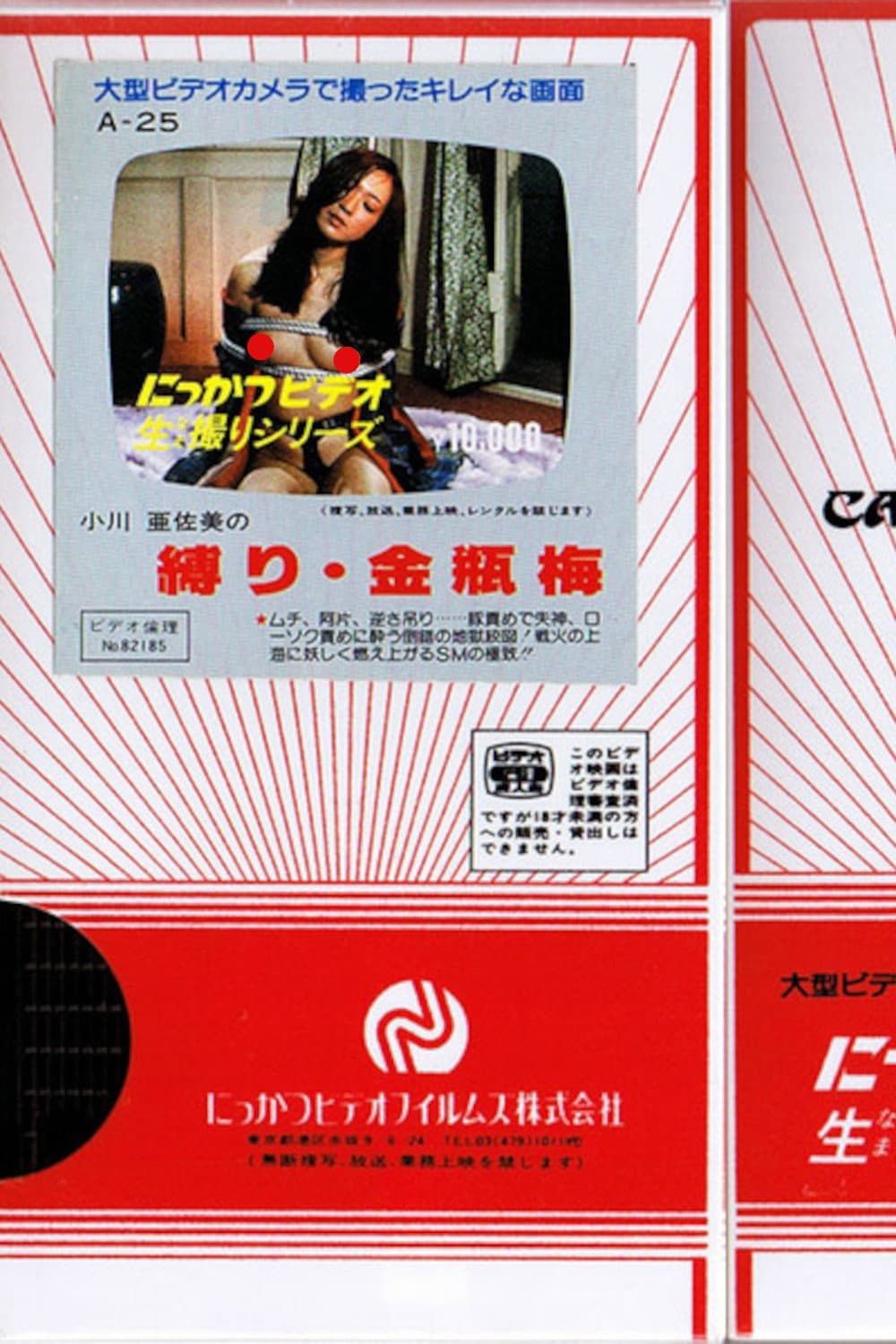 Poster di 小川亜佐美の　縛り・金瓶梅