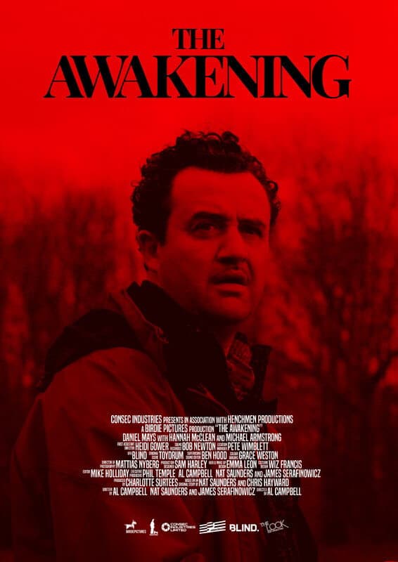 Poster di The Awakening