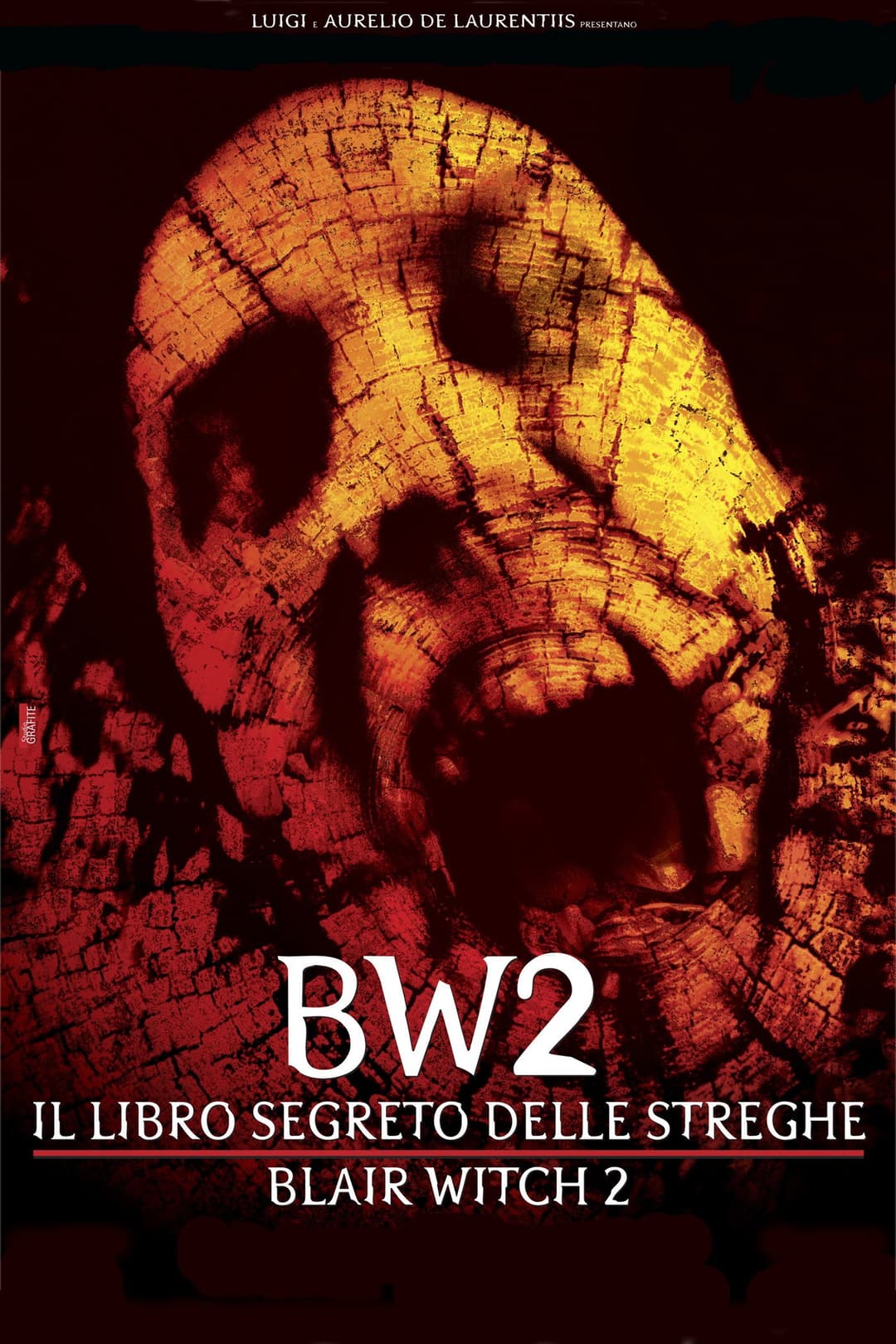 Poster di Il libro segreto delle streghe - Blair Witch 2