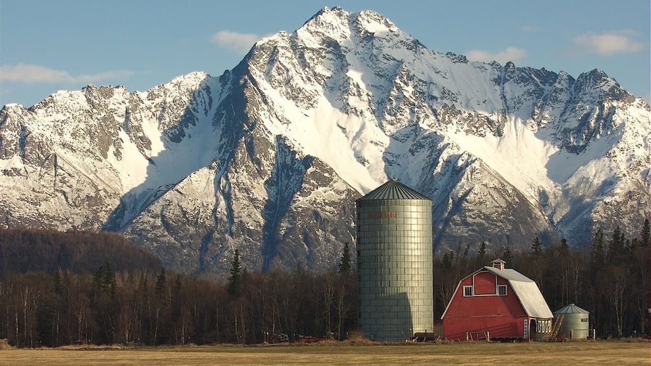 Alaska Far Away - immagine