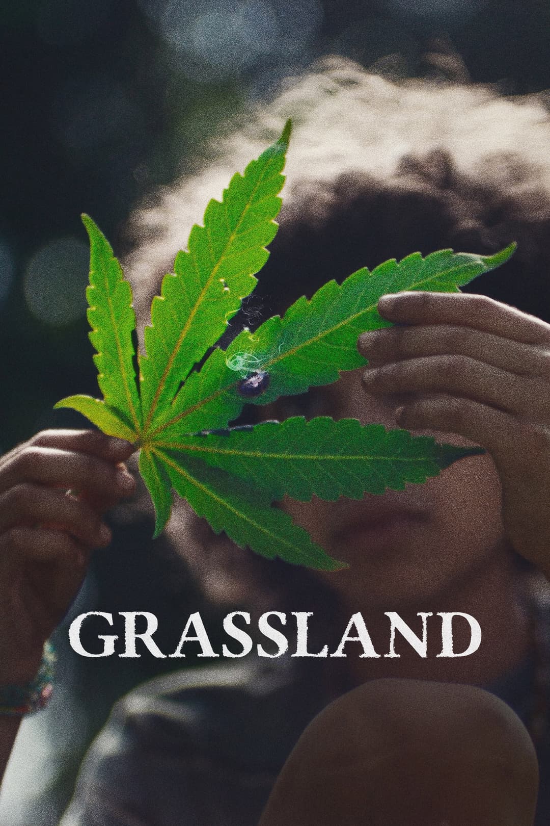 Poster di Grassland