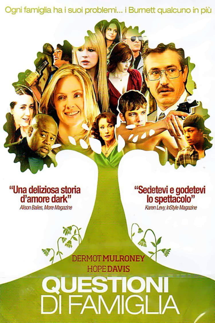 Poster di Questioni di famiglia