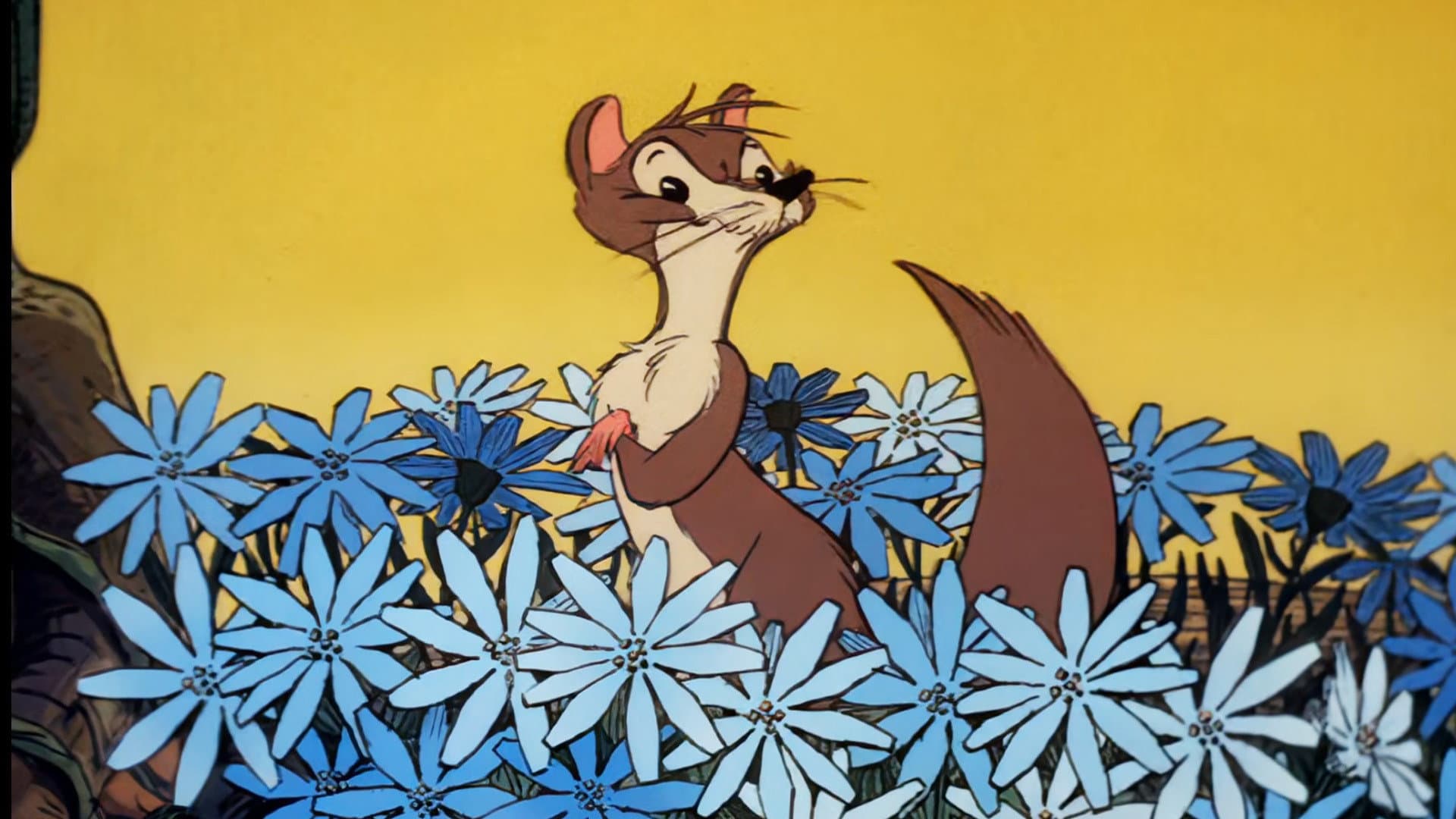 Rikki-Tikki-Tavi - immagine
