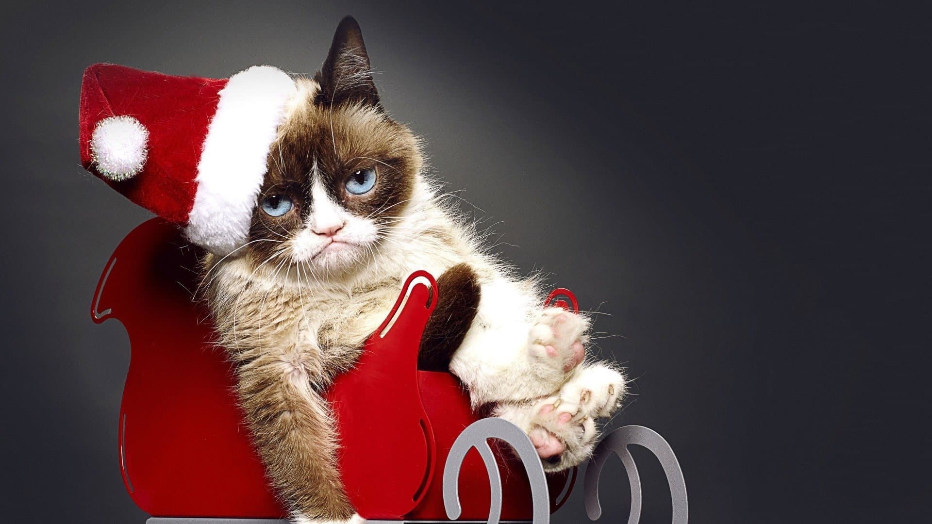 Grumpy Cat's Worst Christmas Ever - immagine