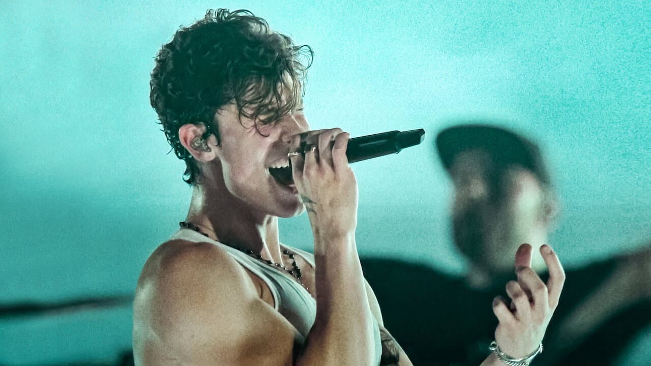 Shawn Mendes: Live in Concert - immagine