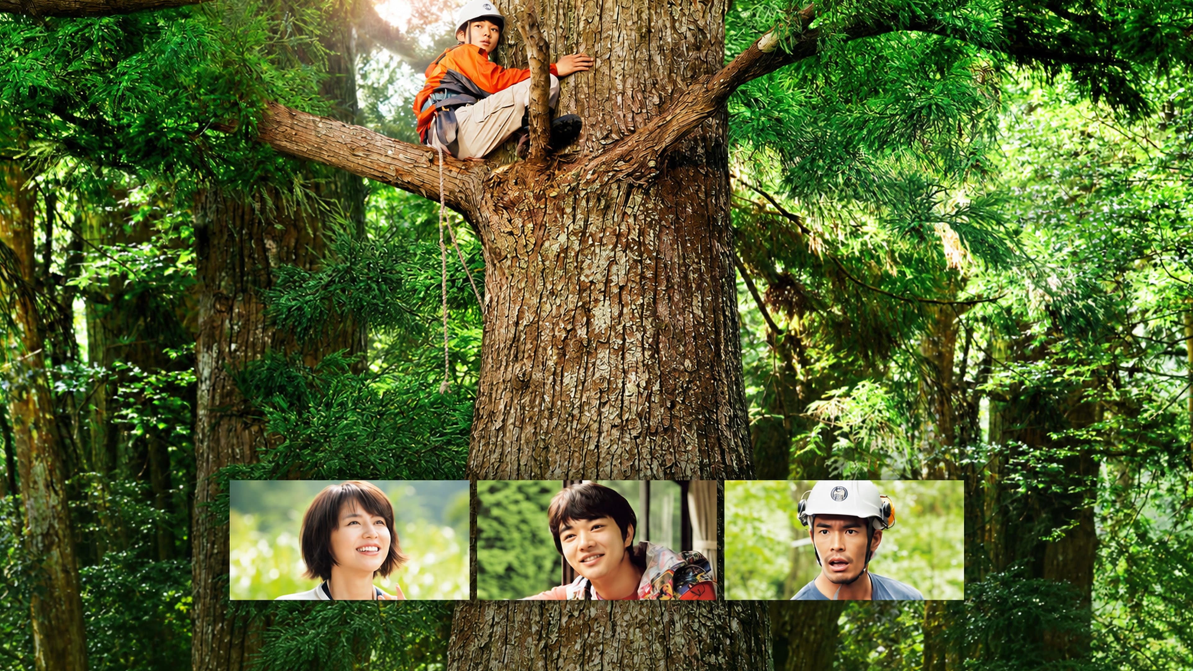 Wood Job! - immagine
