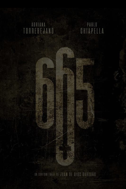 Poster di 665