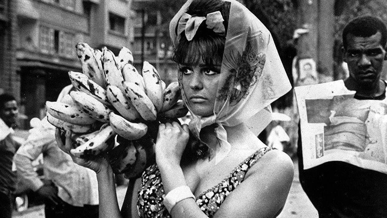 Una rosa per tutti - immagine
