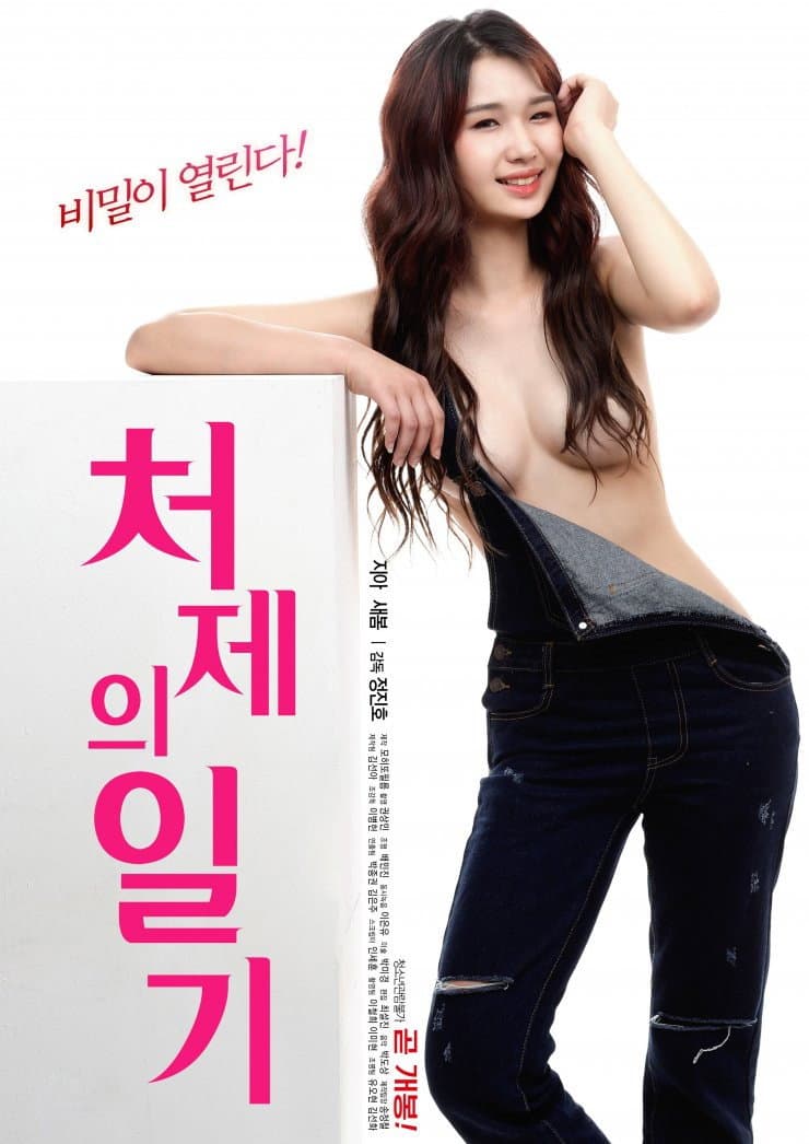 Poster di 처제의 일기