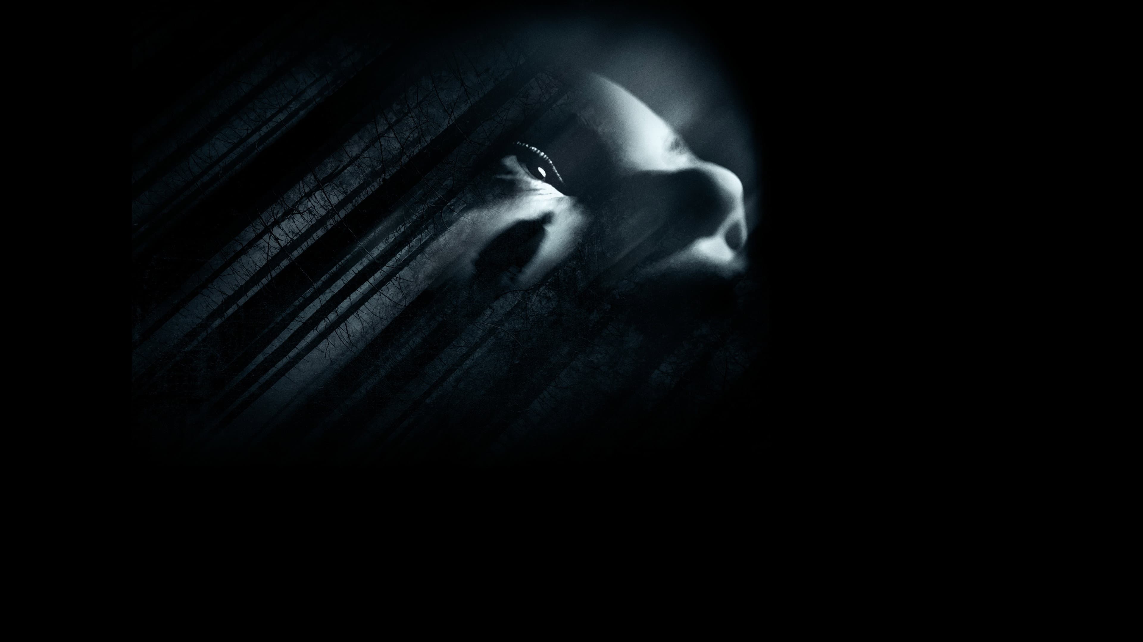 In Fear - immagine