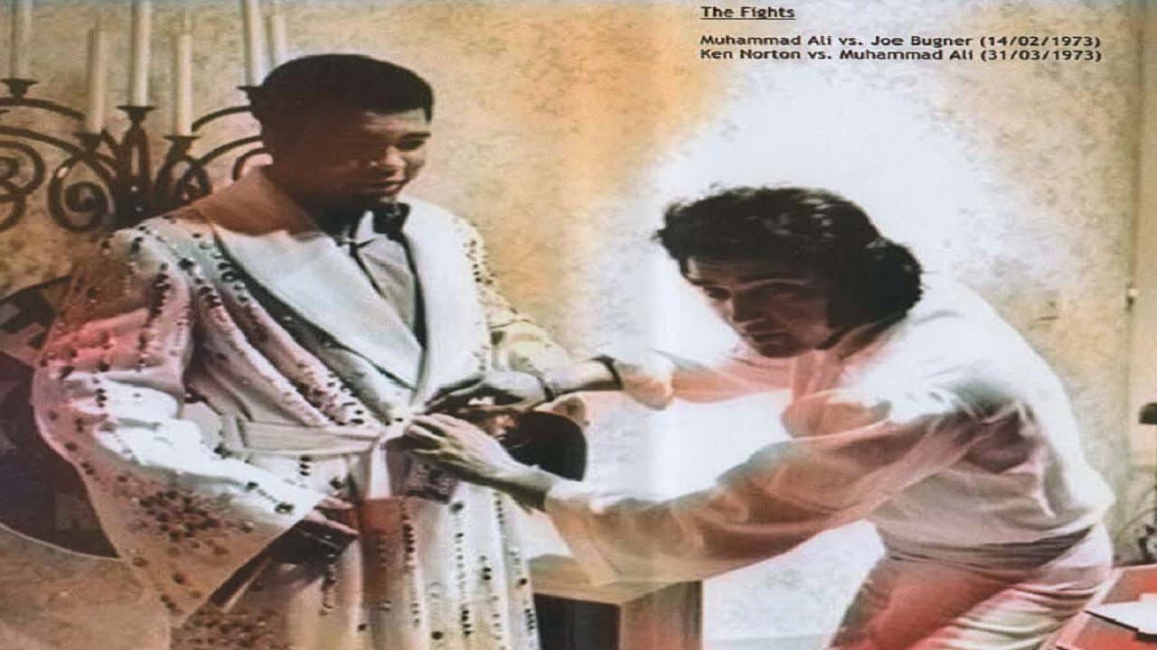 The Champ and the King - immagine