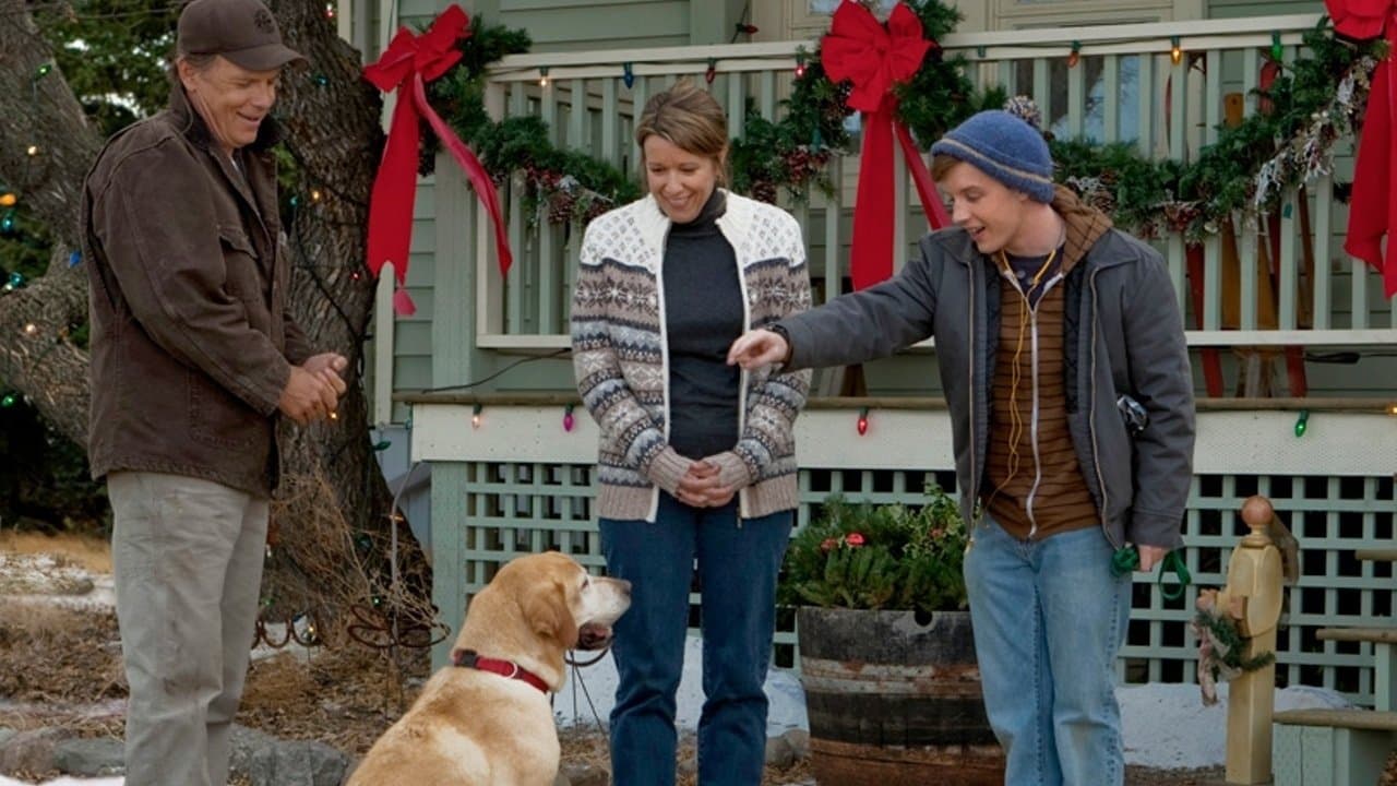 A Dog Named Christmas - immagine