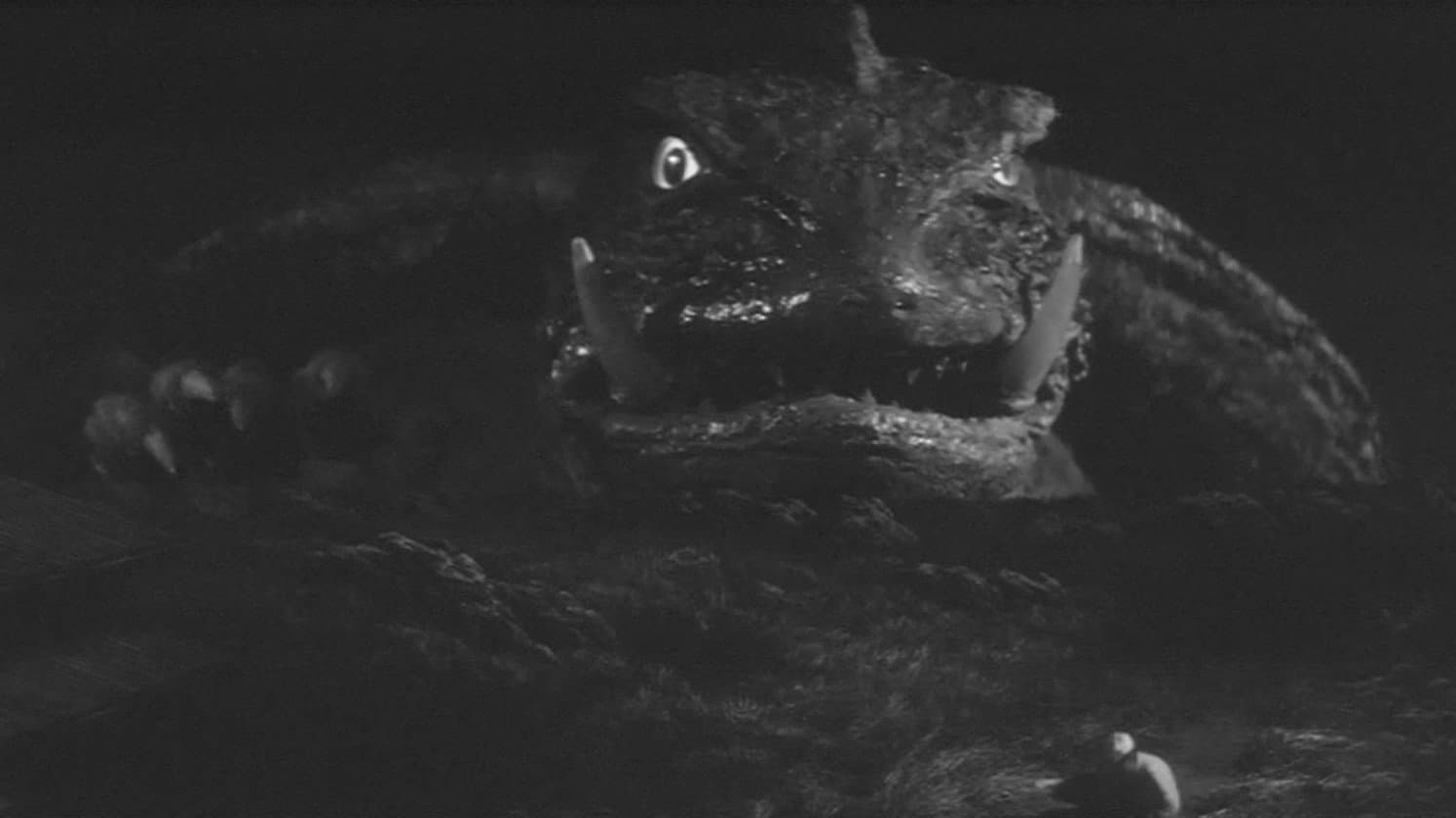 Gamera - Il mostro gigante - immagine