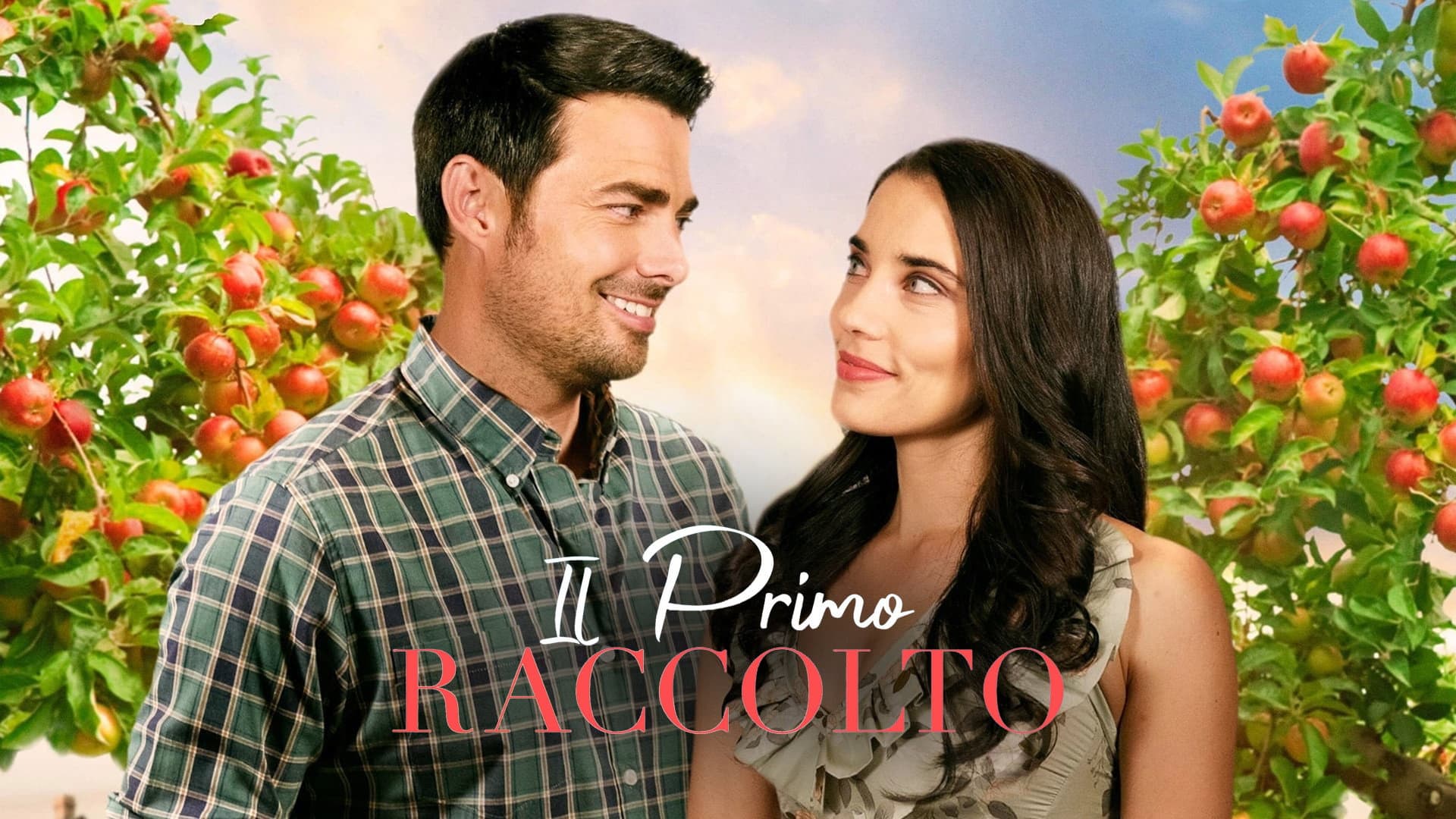 Il primo raccolto - immagine