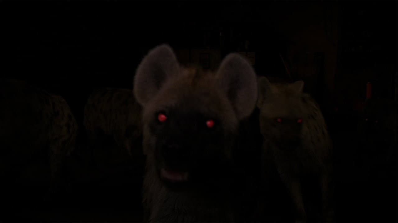 Hyenas - immagine