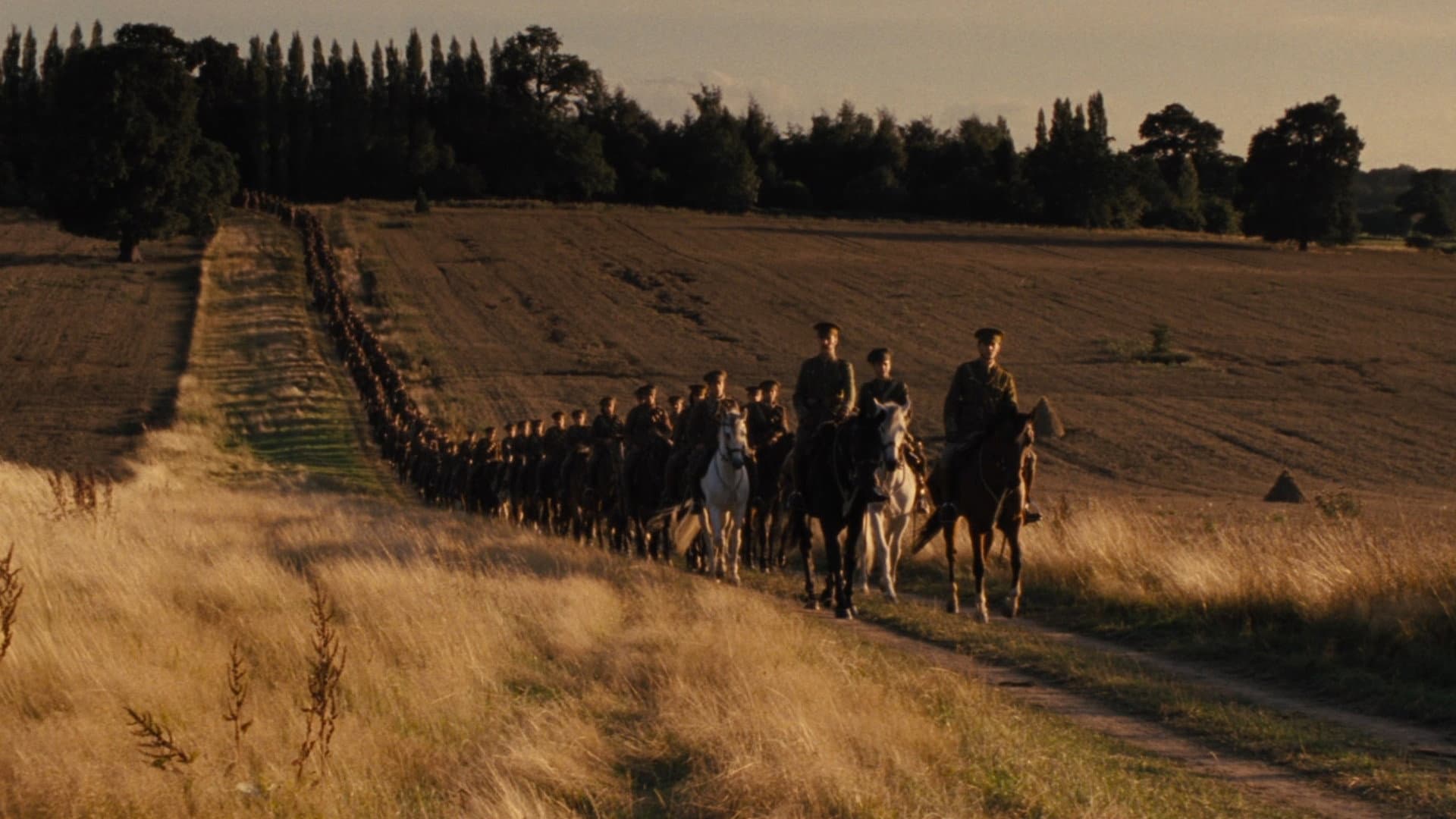 War Horse - immagine