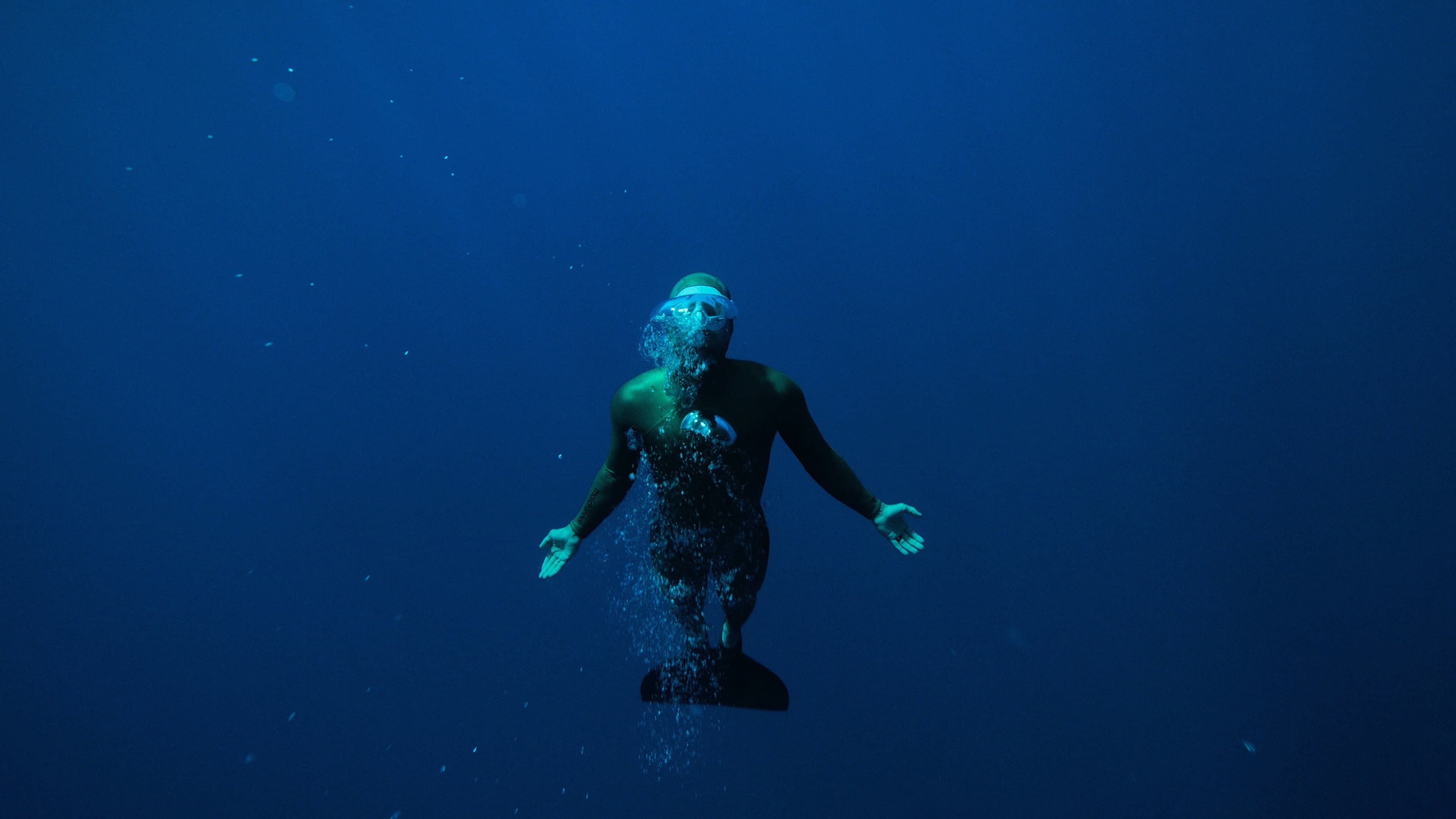 Freediver - immagine