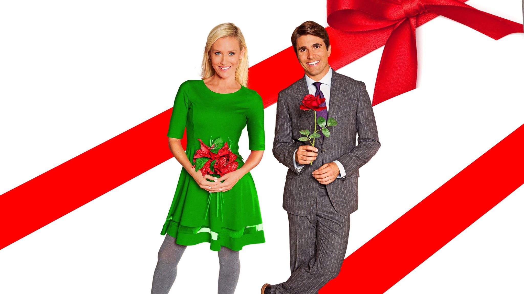 The Christmas Flower - immagine