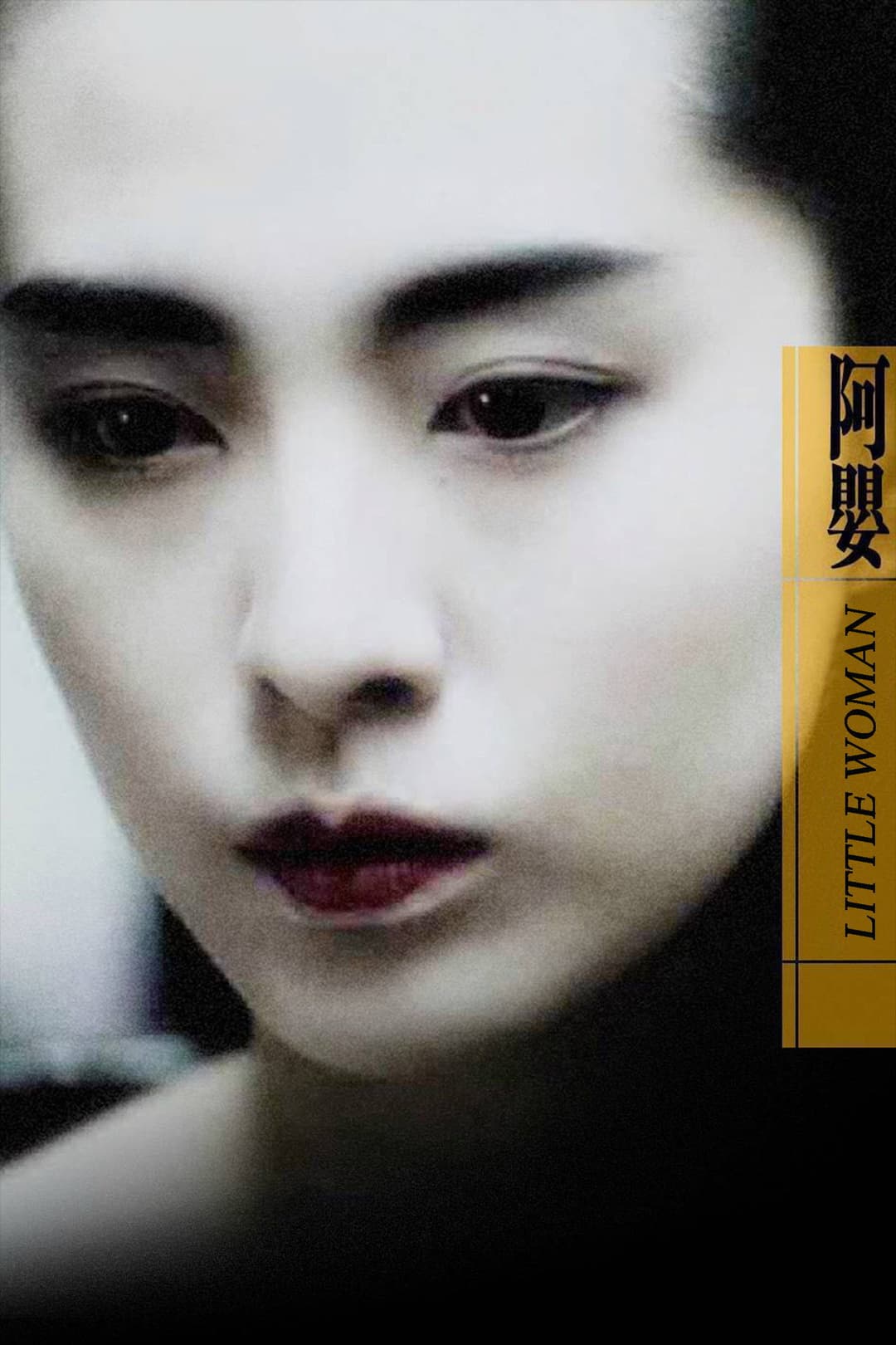 Poster di 阿嬰