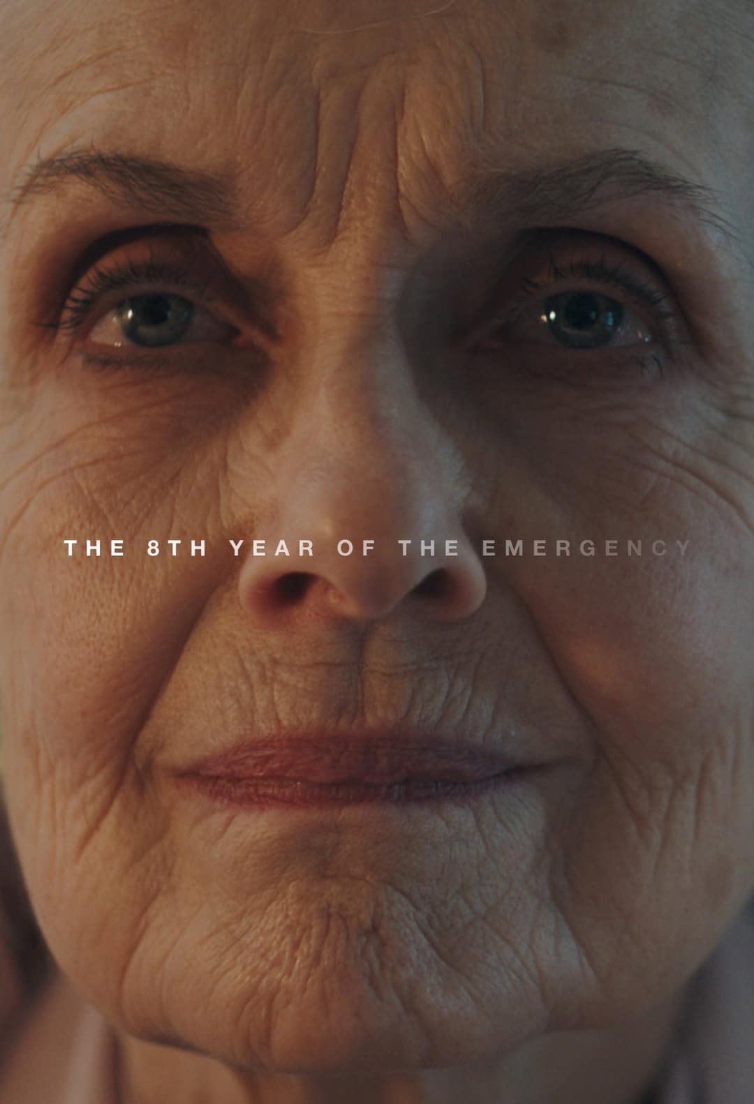 Poster di The 8th Year of the Emergency