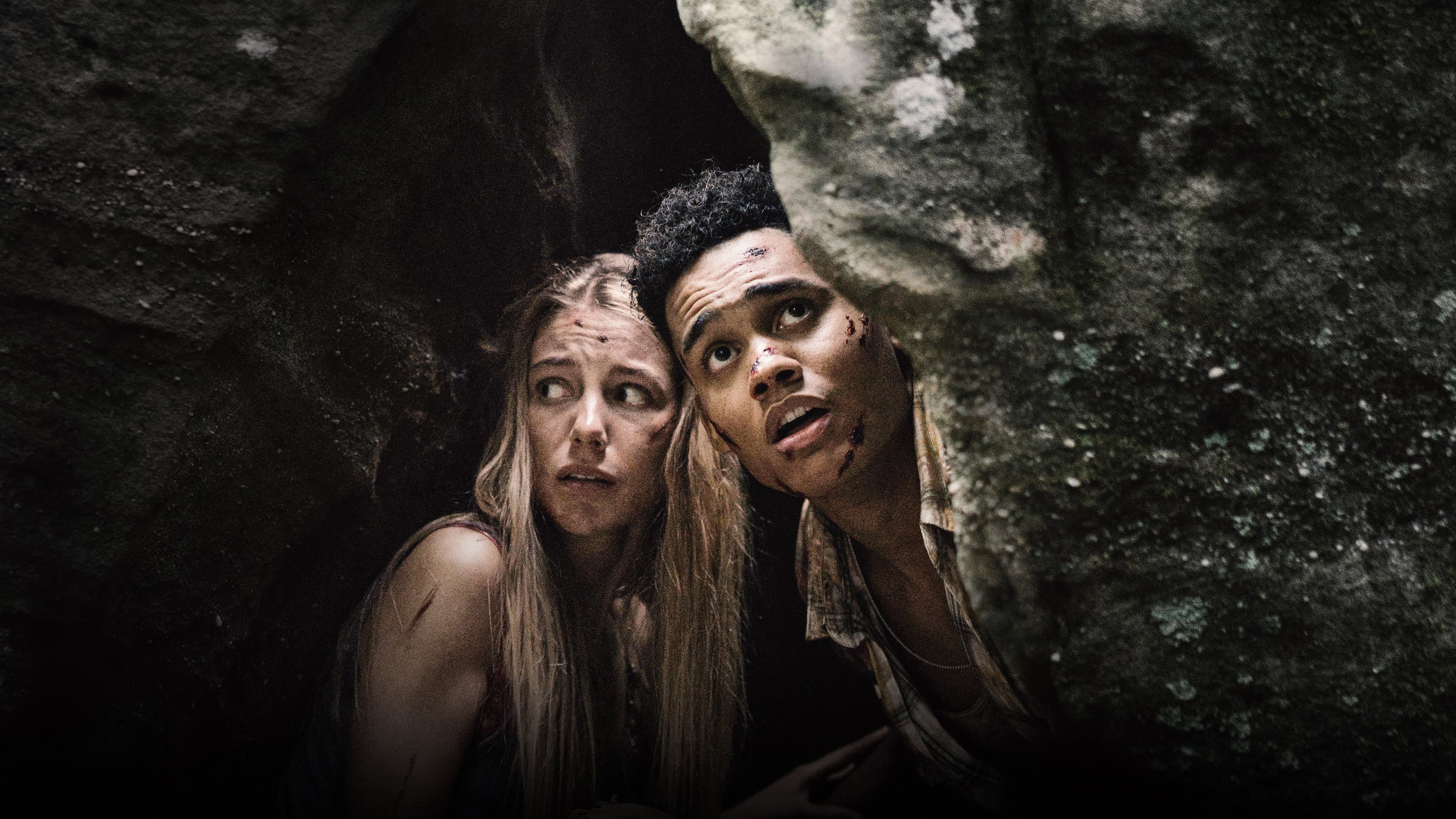 Wrong Turn - The Foundation - immagine