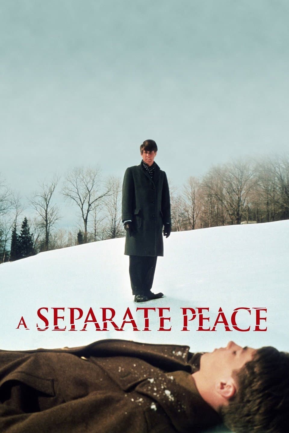 Poster di A Separate Peace