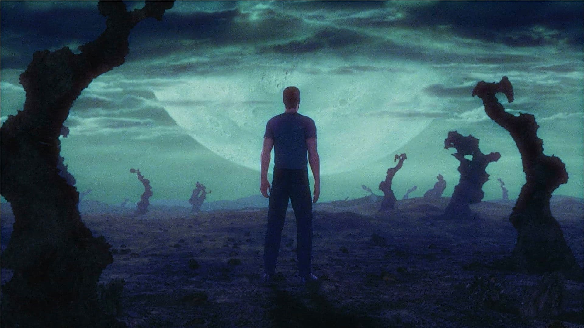 Final Fantasy - immagine