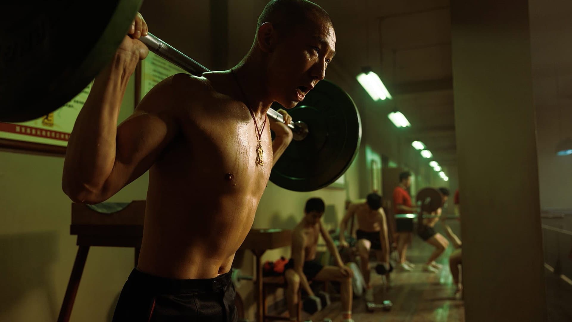 Ping Pong: Il ritorno - immagine