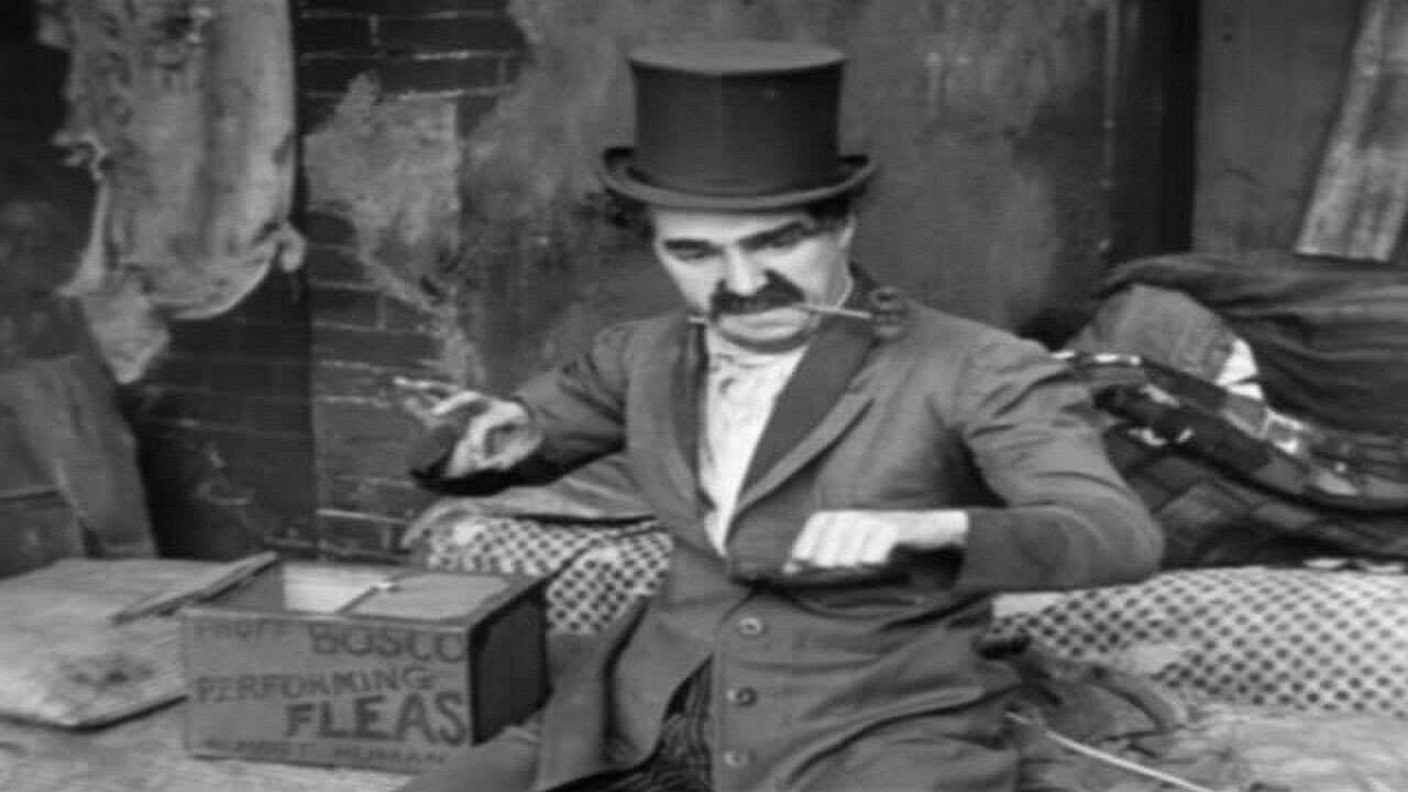 The Professor - immagine