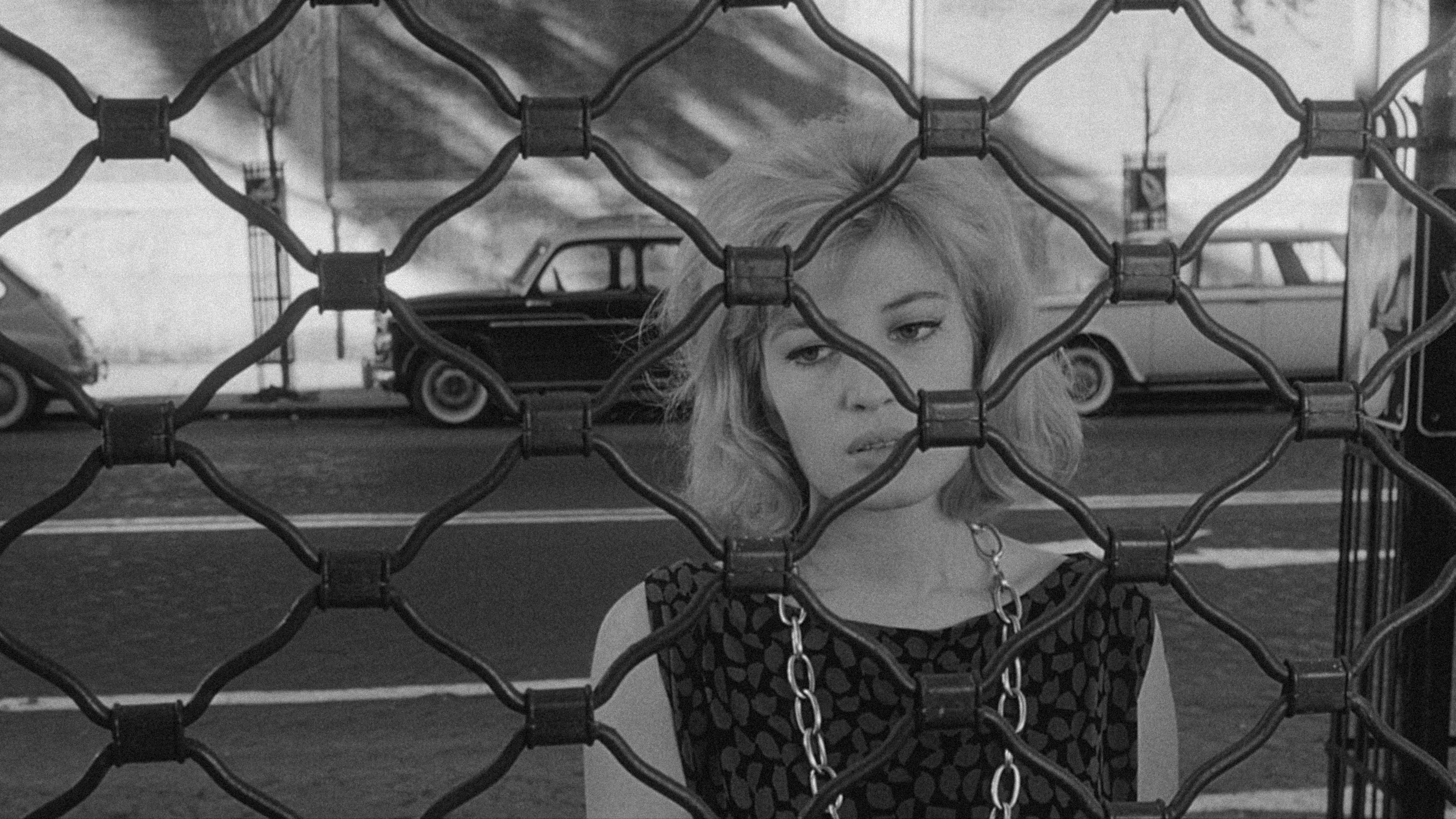 L'eclisse - immagine