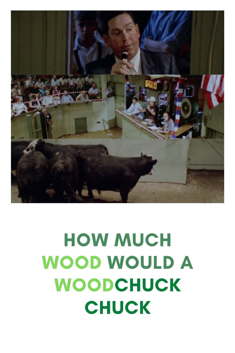 Poster di How much wood would a Woodchuck Chuck