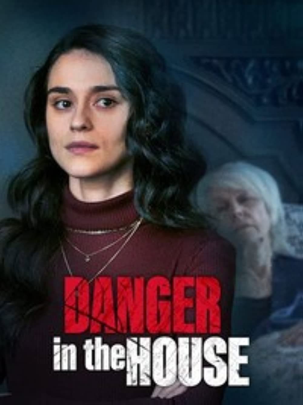 Poster di Danger in the House