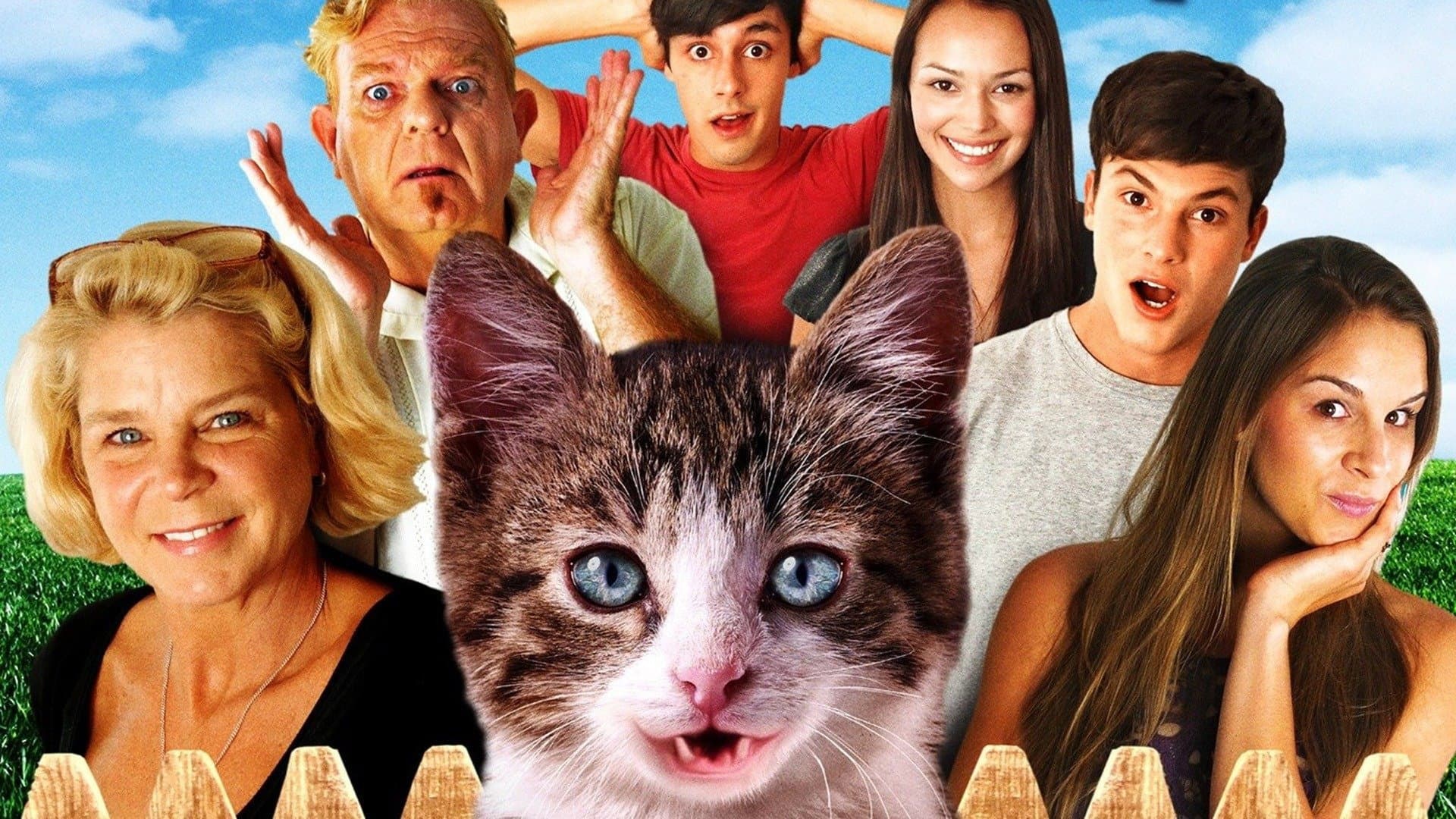 A Talking Cat!?! - immagine