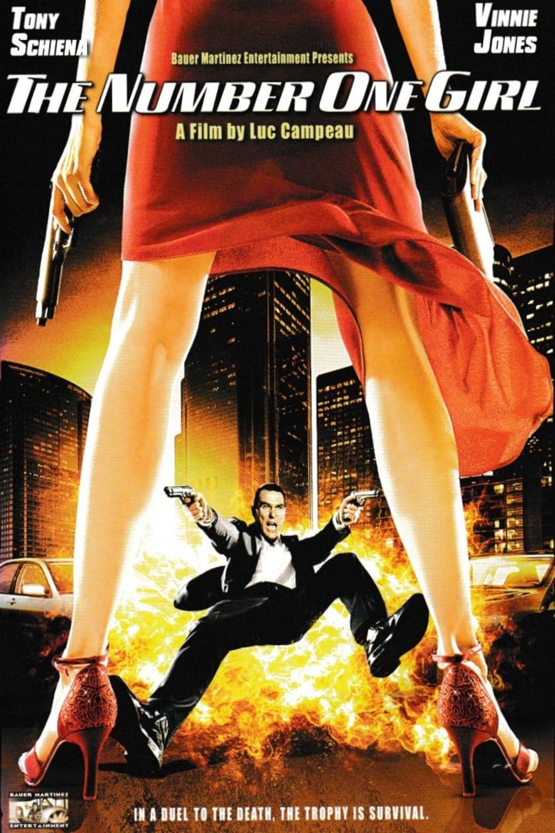 Poster di The Number One Girl
