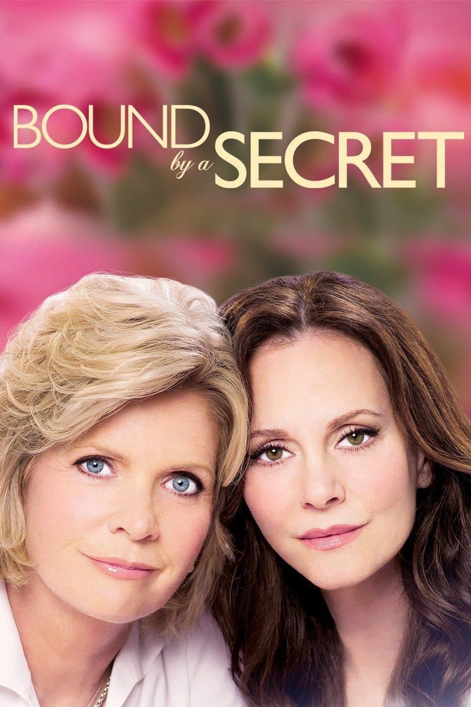 Poster di Bound By a Secret