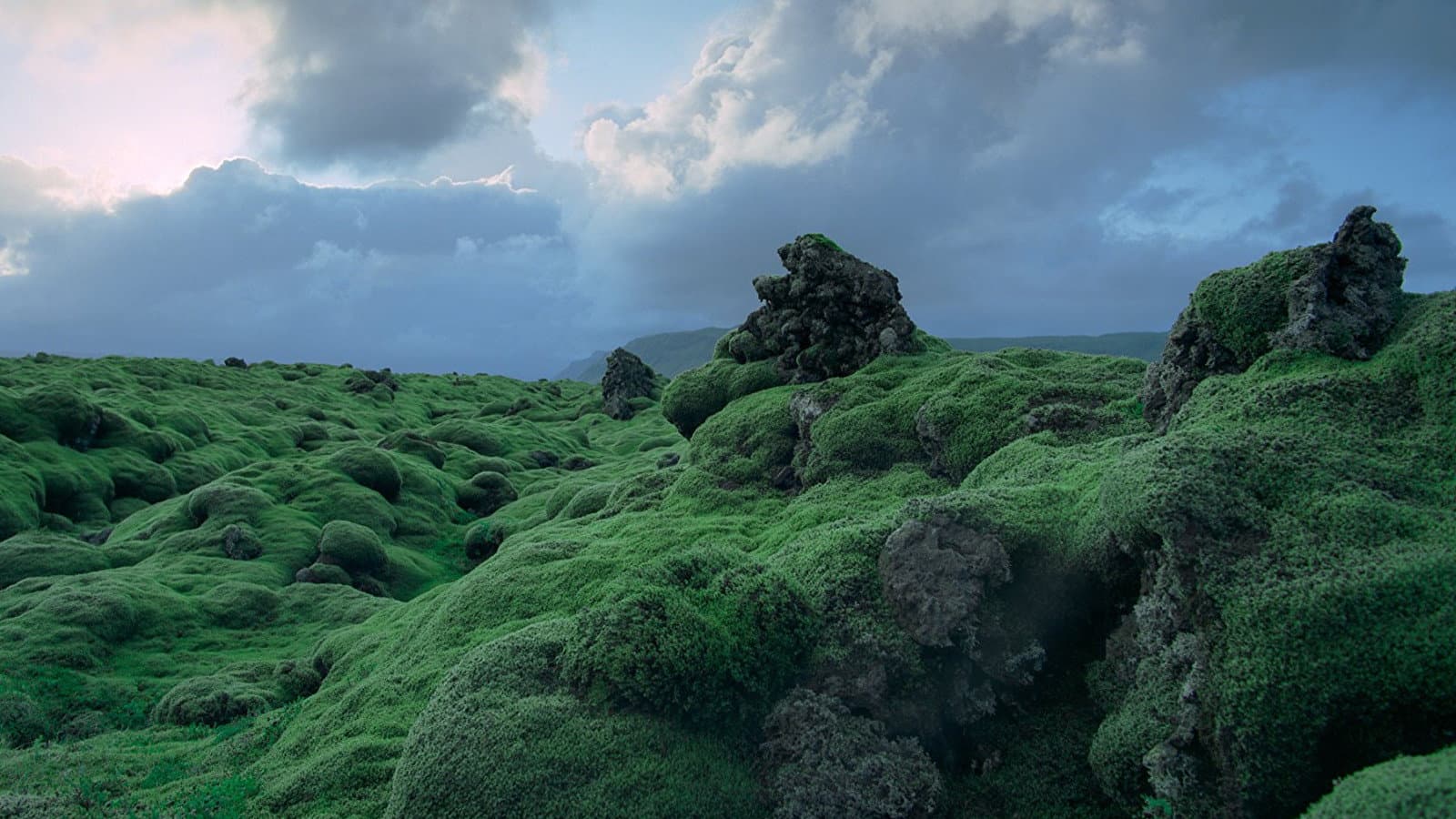 Voyage of Time: The IMAX Experience - immagine