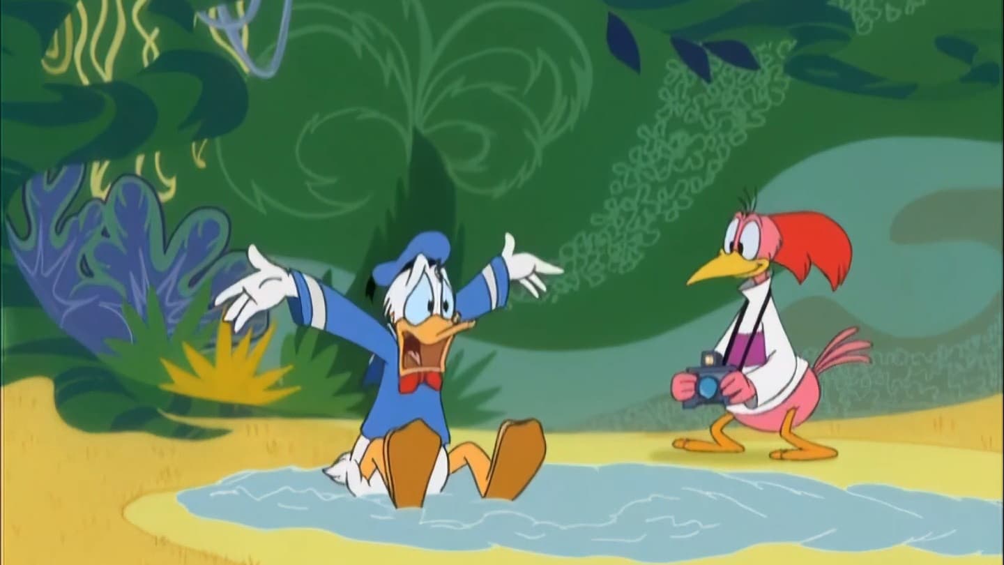 Bird Brained Donald - immagine