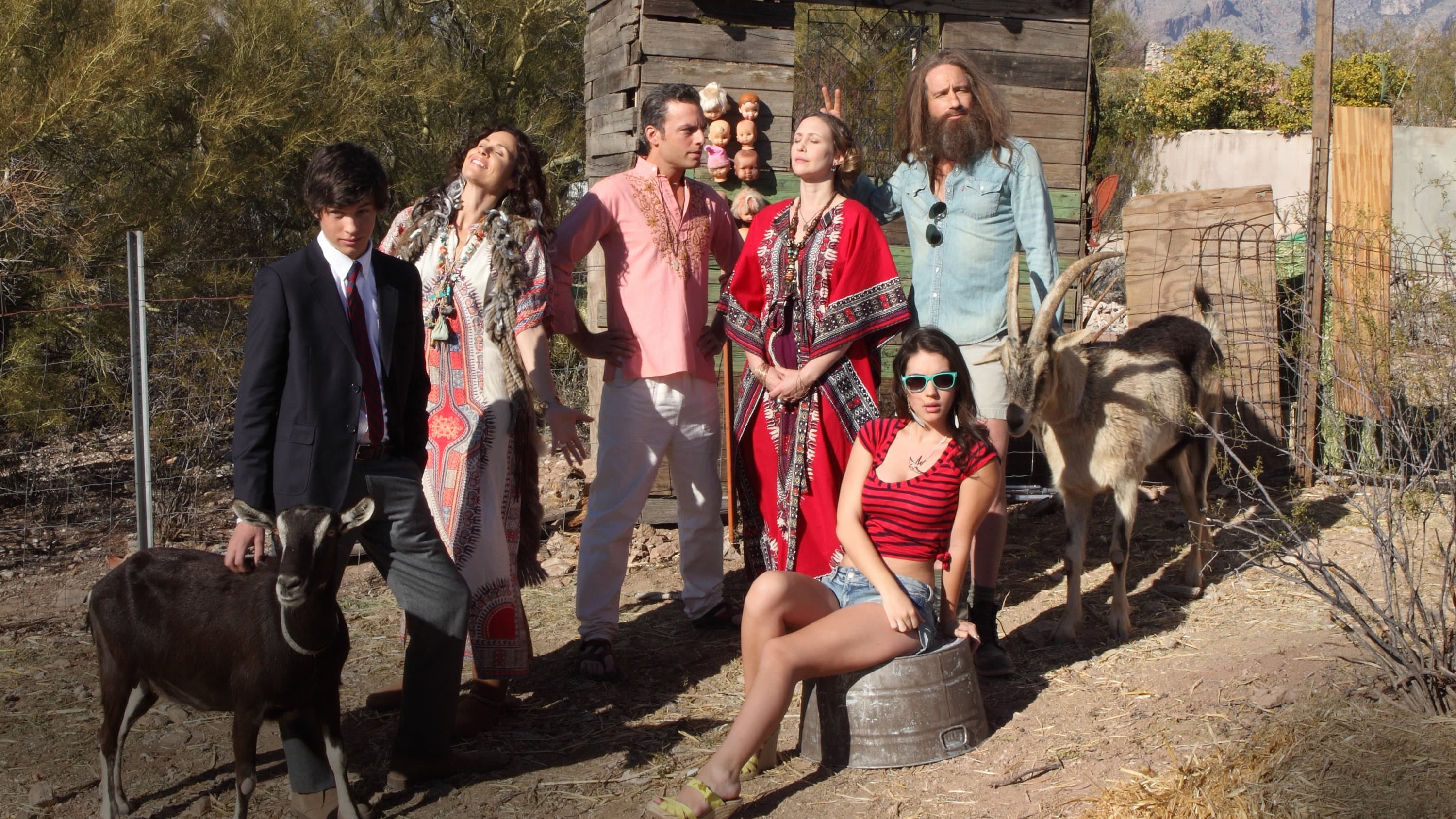 Goats - immagine