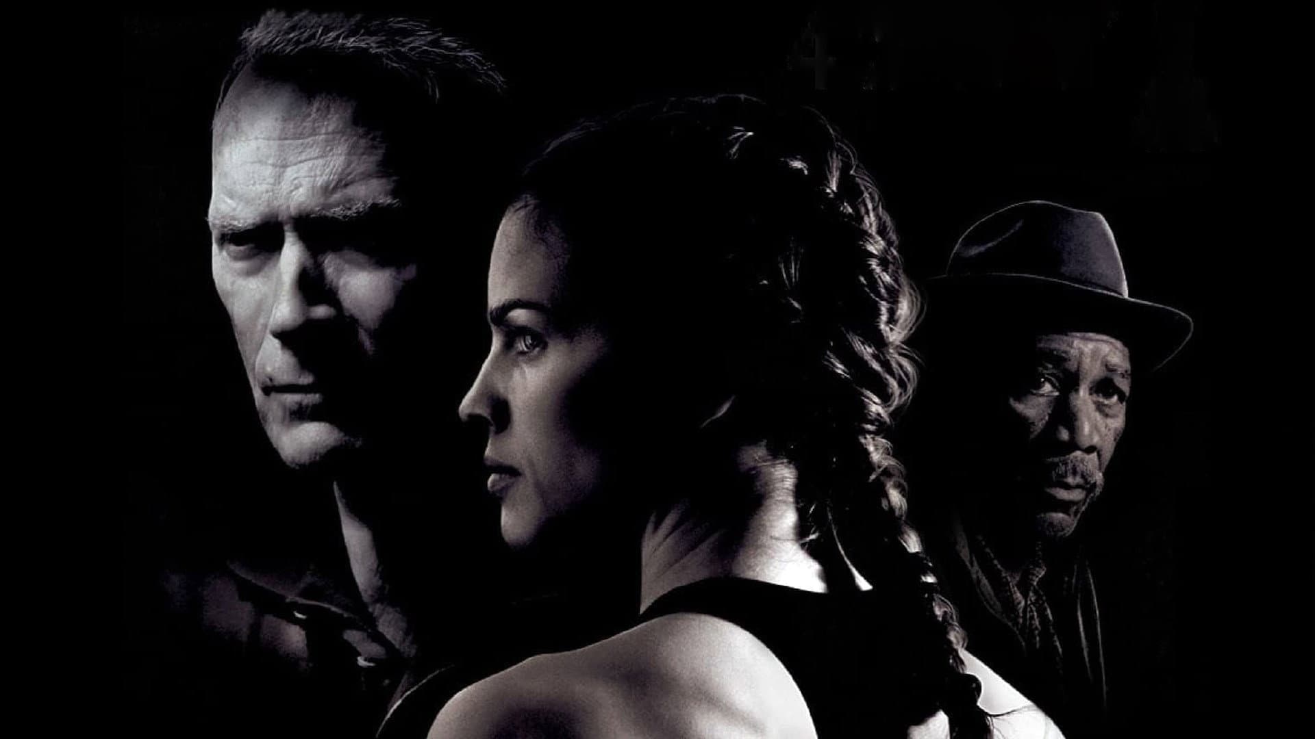 Million Dollar Baby - immagine