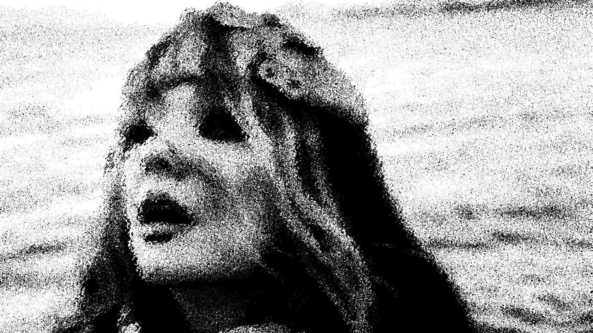 Inside Björk - immagine