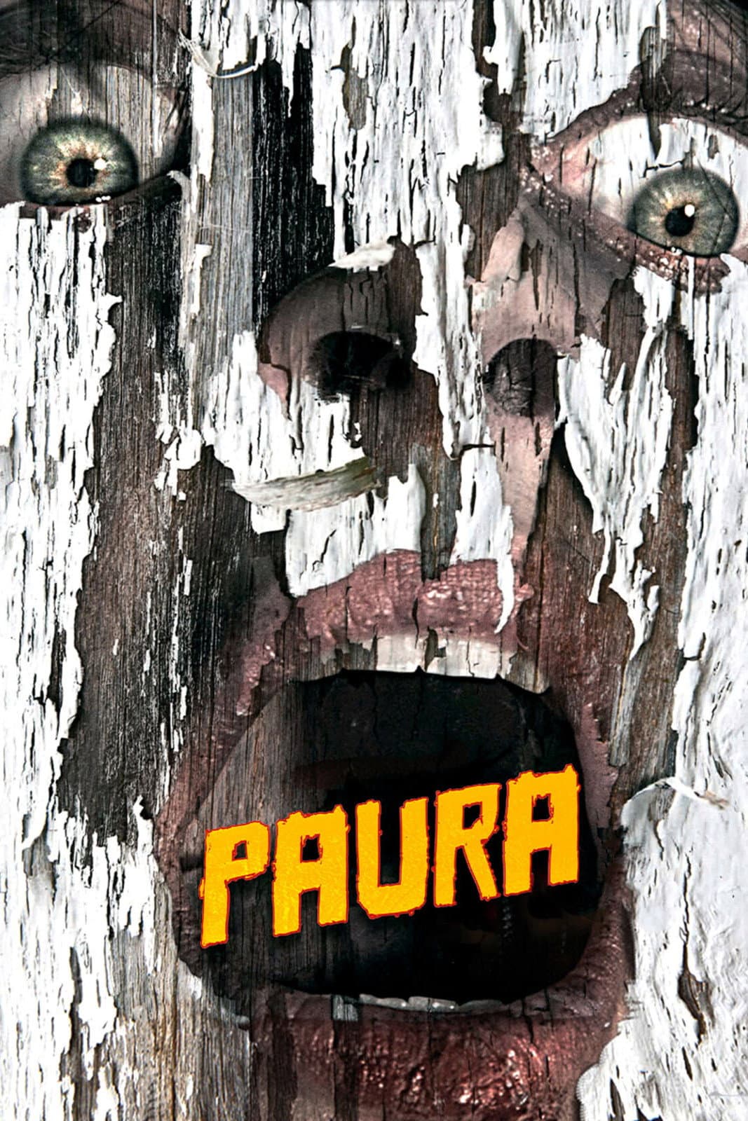 Poster di Paura