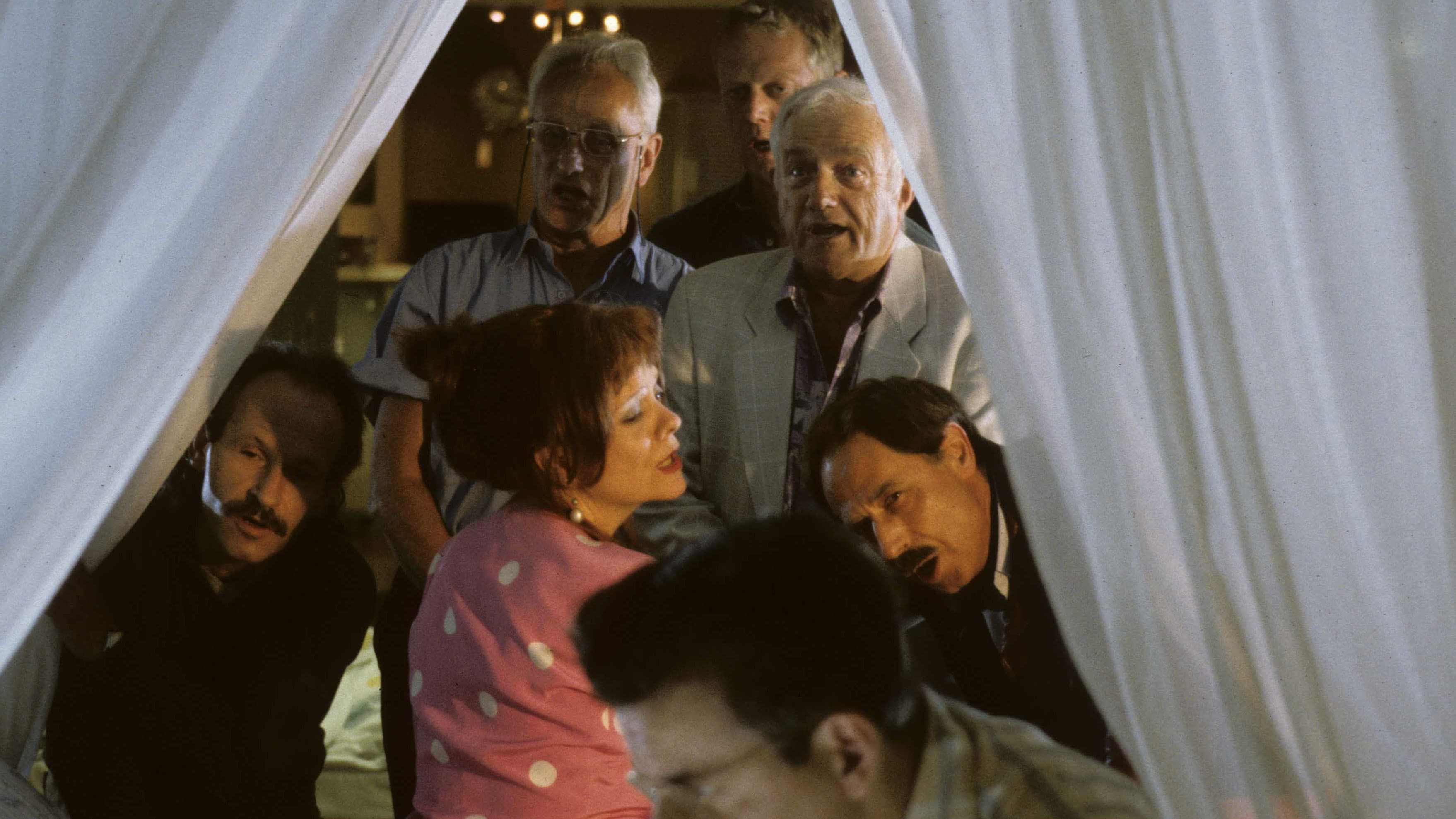Midsommar-Stories - immagine