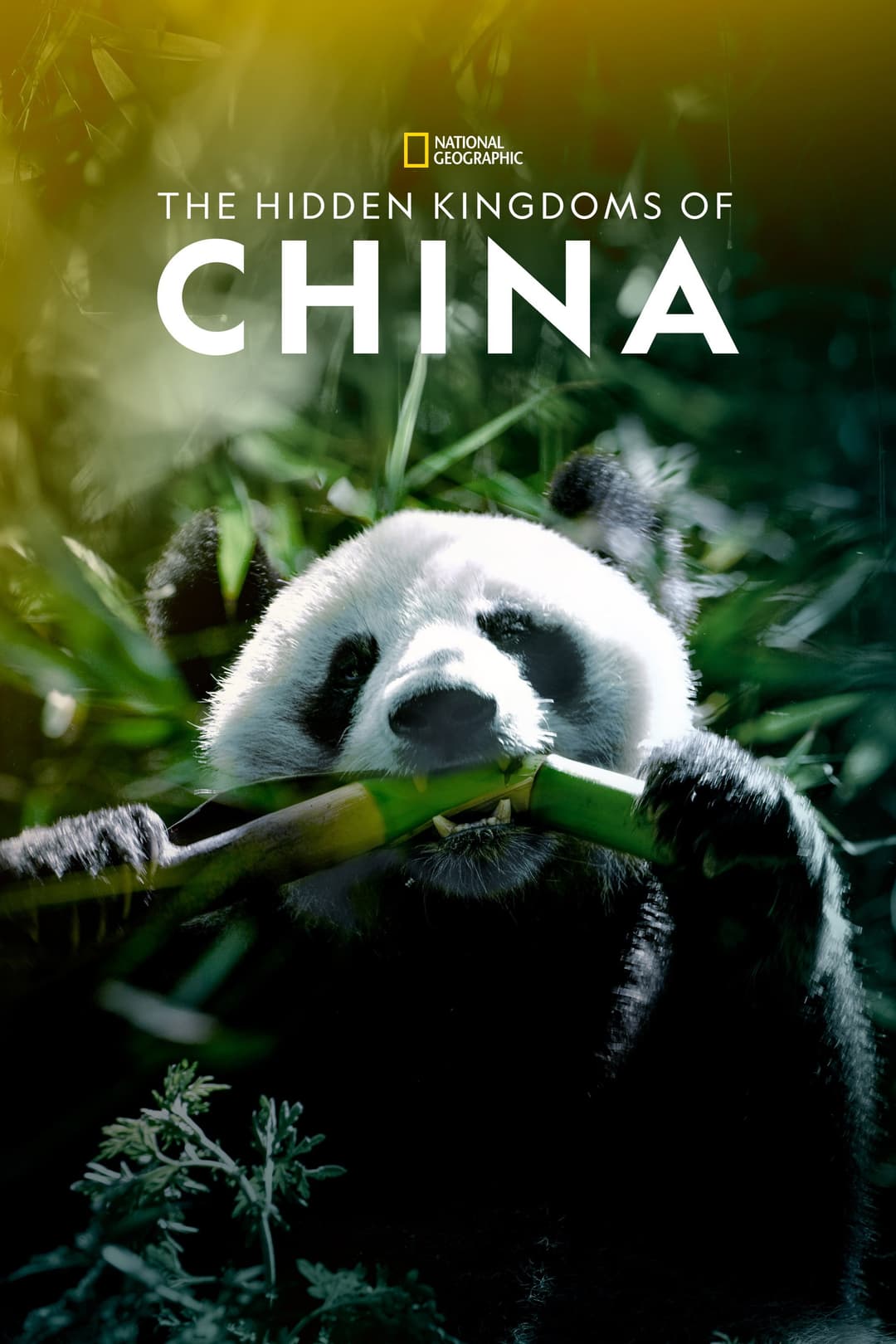 Poster di Cina - Le cinque meraviglie