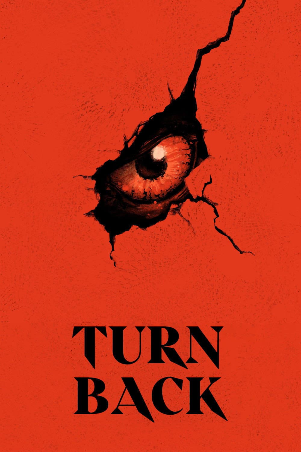 Poster di Turn Back