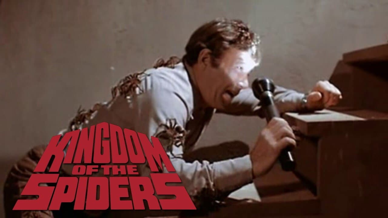 Kingdom of the Spiders - immagine