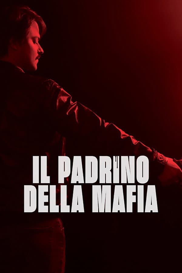Poster di Il padrino della mafia