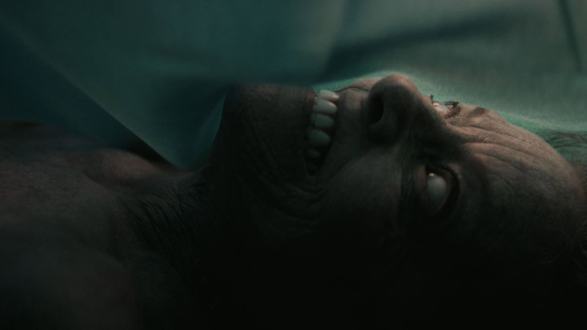 The Mortuary Assistant - Anatomia di un incubo - immagine