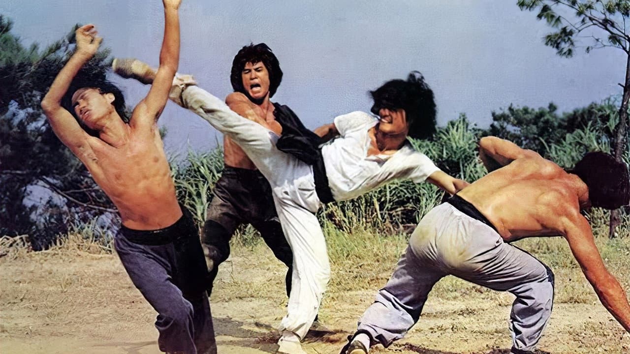 Kung Fu L'incredibile missione - immagine