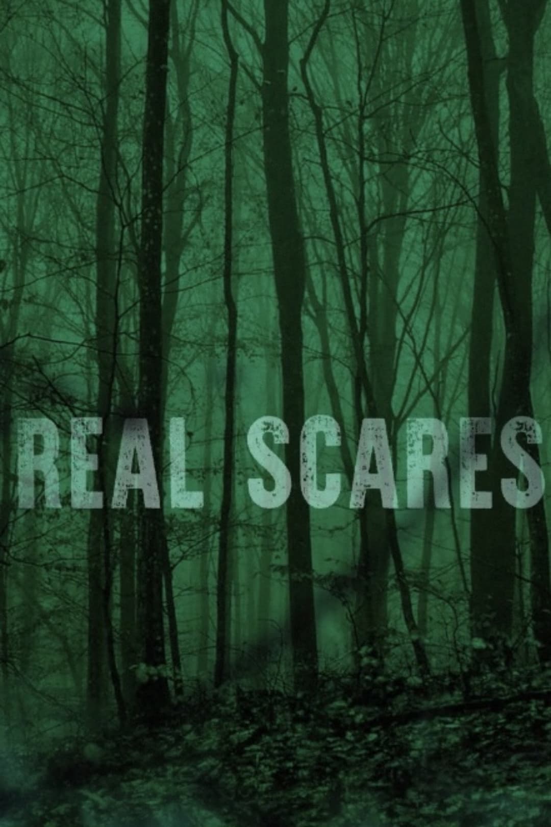 Poster di Real Scares
