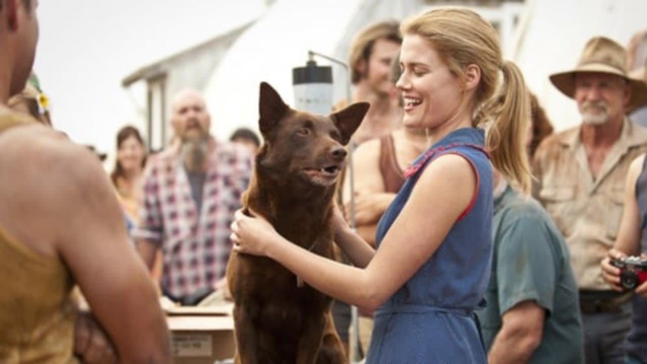 Red Dog - immagine